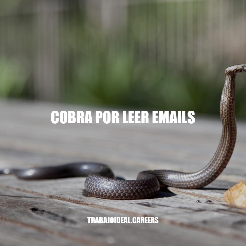 Cobra por leer emails: ¿Una Estafa o una Manera Legítima de Ganar Dinero?